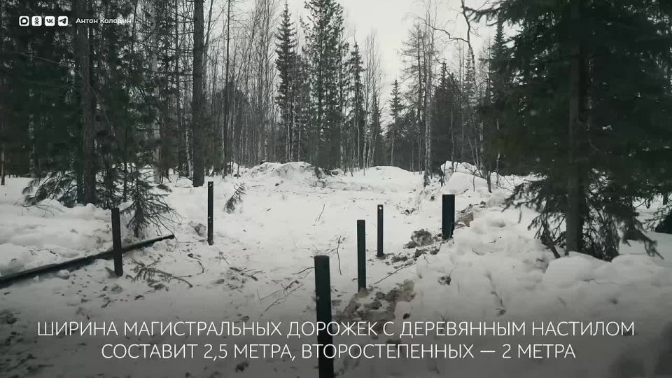 ����� �������: ������ � ��������� ����������, ��� ������������ ������ �� ������ ������� ��������������� ����-�����