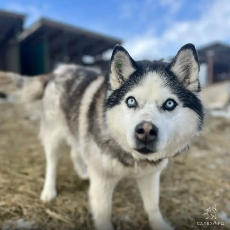 ������� ��������� ������� ������� ��� ������ �����