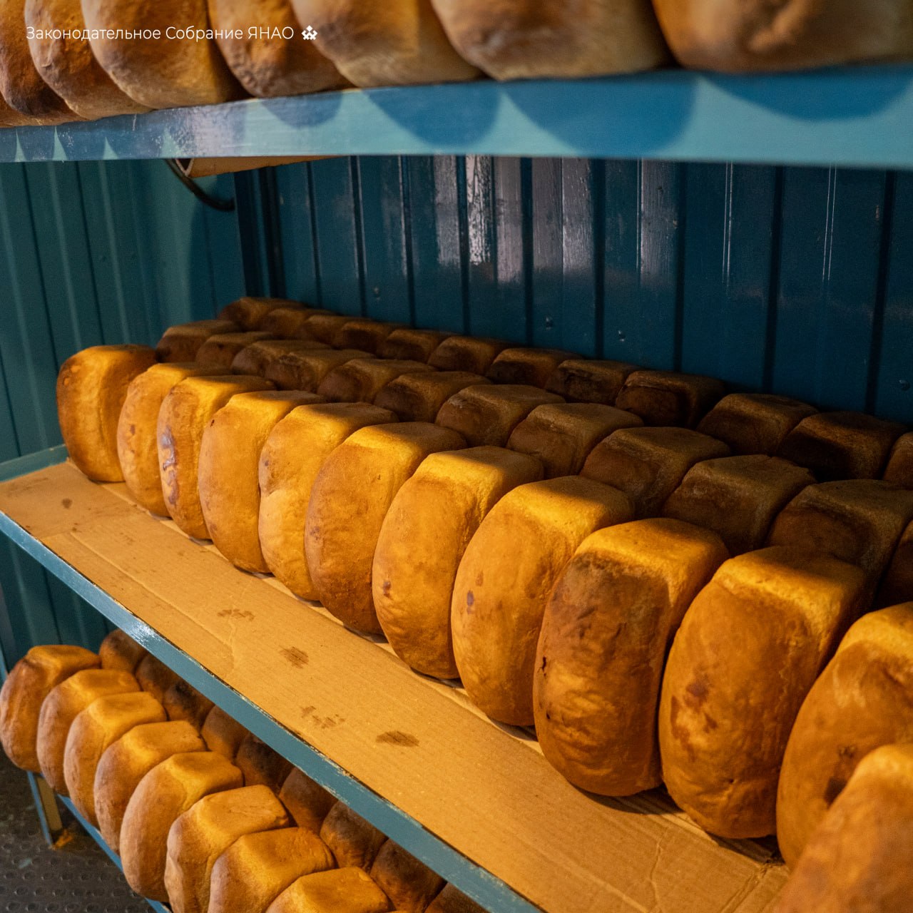 Завершился первый этап работы в Тазовском и Ямальском районах, где рабочая группа под председательством спикера Сергея Ямкина собирала предложения для обновления региональной программы поддержки КМНС Завершился первый этап работы в Тазовском и Ямальском районах, где рабочая группа под председательством спикера Сергея Ямкина собирала предложения для обновления региональной программы поддержки КМНС