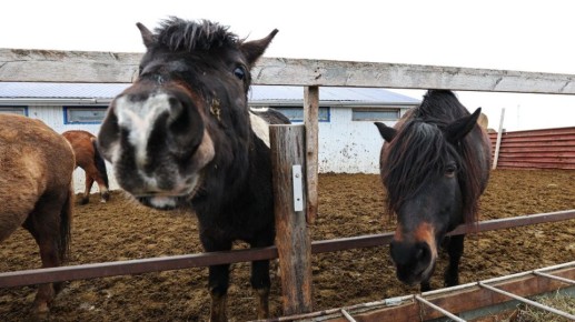 Доброго утра, Салехард!. Сегодня ожидается пасмурная погода, без осадков