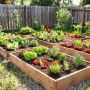 Устойчивость и эстетика: высокие грядки, которые стоит рассмотреть