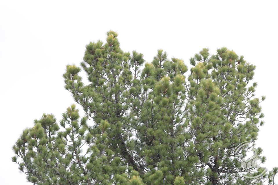 ������ ���� � �������� ���!