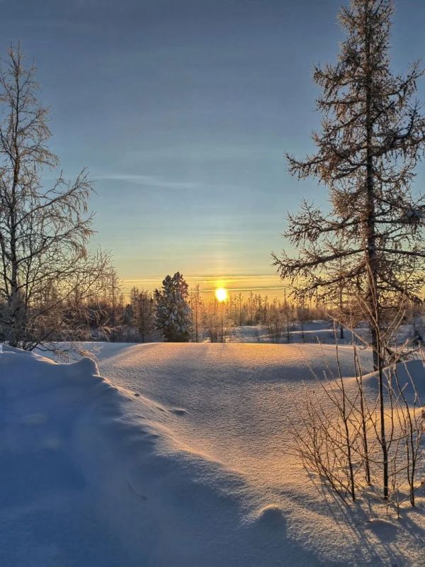 ������� � ���� ����������� �������� �������� ������!