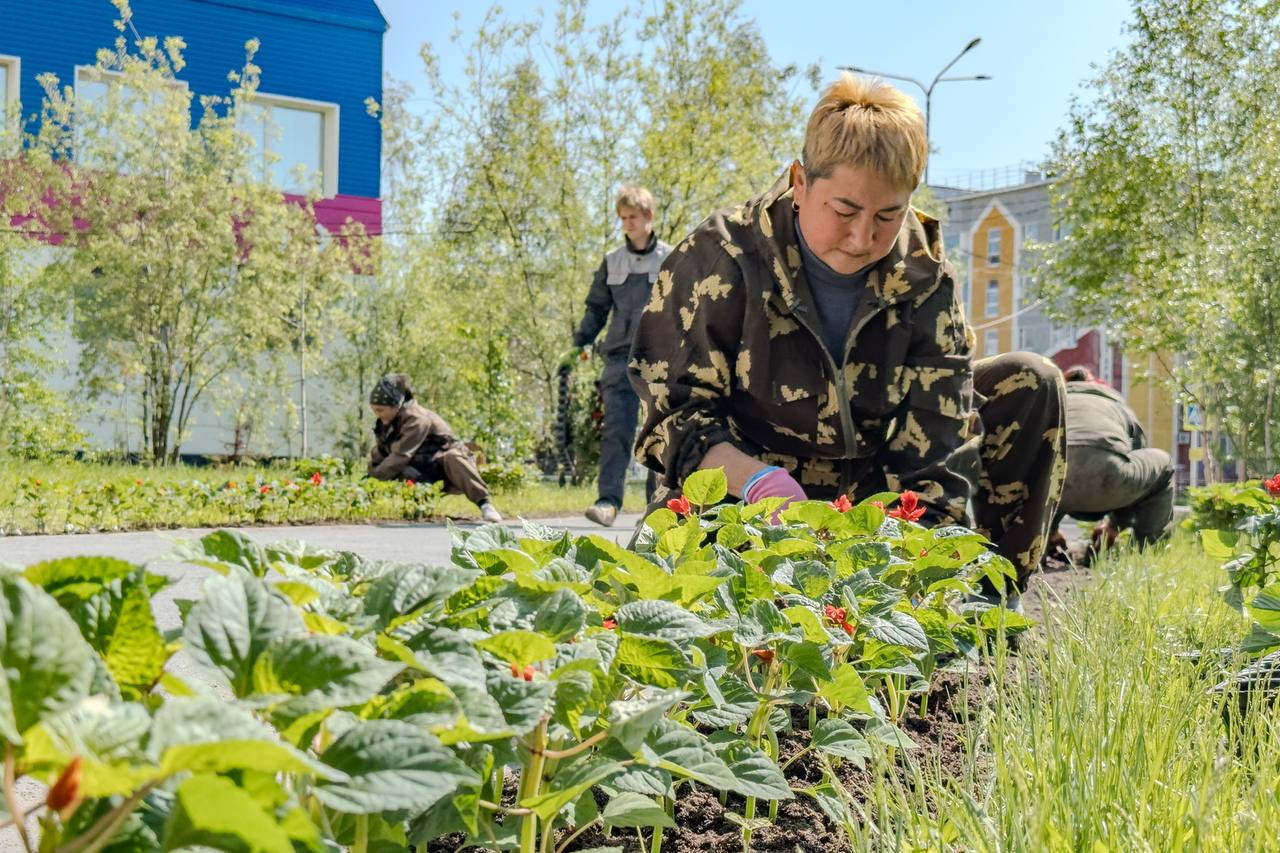 В прямом эфире был вопрос, будем ли в этом году проводить озеленение В прямом эфире был вопрос, будем ли в этом году проводить озеленение