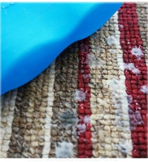 �� ���������! ��� ������� ����� � ����� ����� ����������� ������������