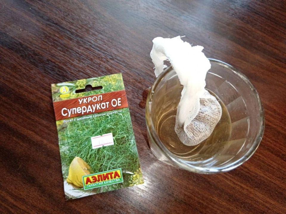 ��� �������� ������ ������: ����������� ����� ��� ��������