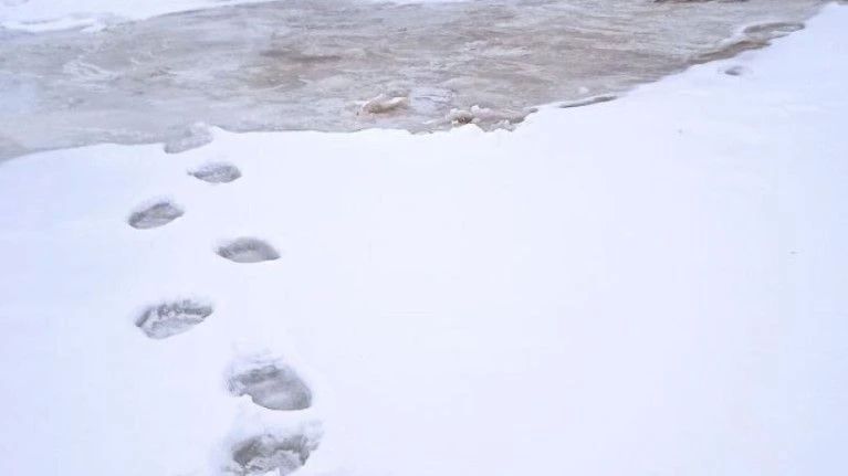 � ������������ ������ ���������� �������