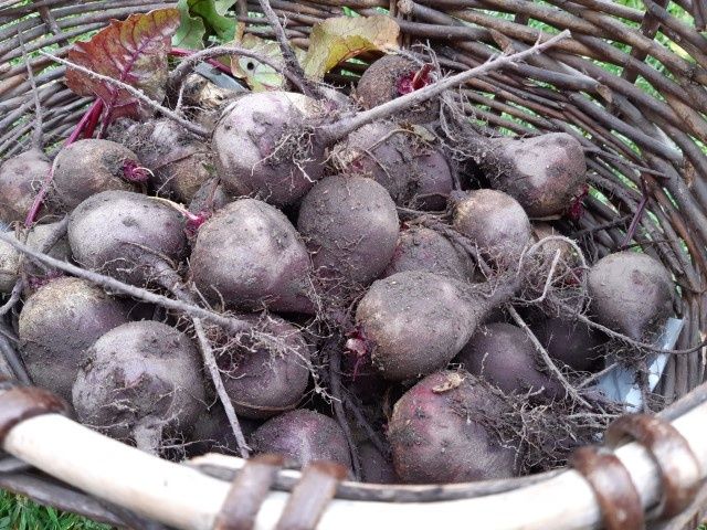 ������� �������� ������: ��� ������������ ��������� ������ ��� ������� ����� ������