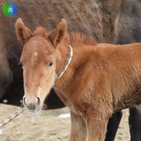 �� �� ��� ������ �����: � ������������ ������ ������� �������� ��������� ������