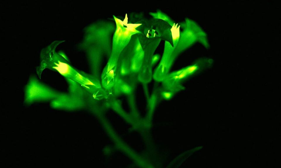 ���������� �������: ������� ����������� ��� �����