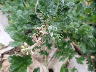 ��� �������� ��������� � ��������� �� ��������� ����: ������ ���������