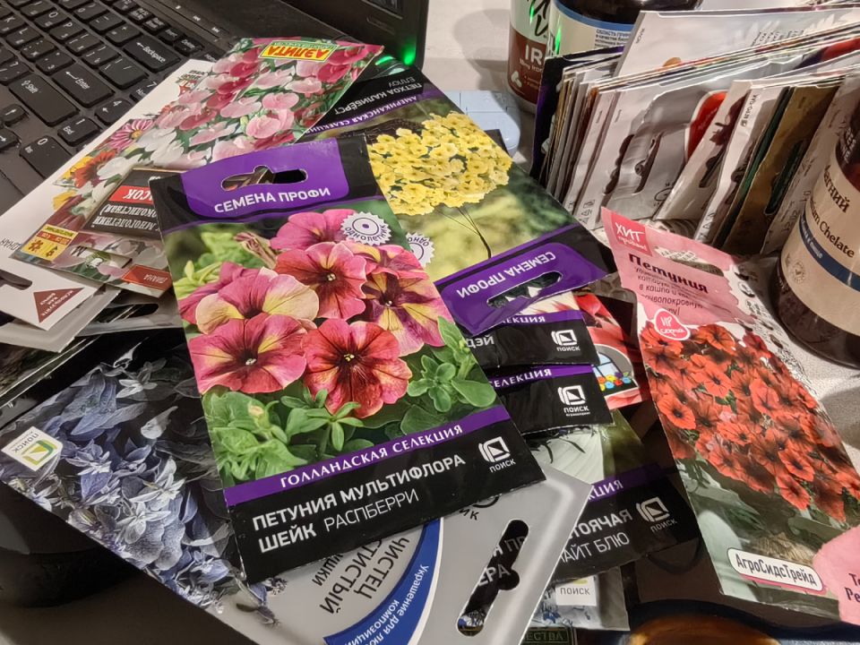 ���������� � ��������� ��������: ����� �������� ����� �� ������� � ���� ������