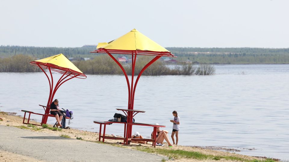 ��������� ����-2026: ����������� ��������������� �������