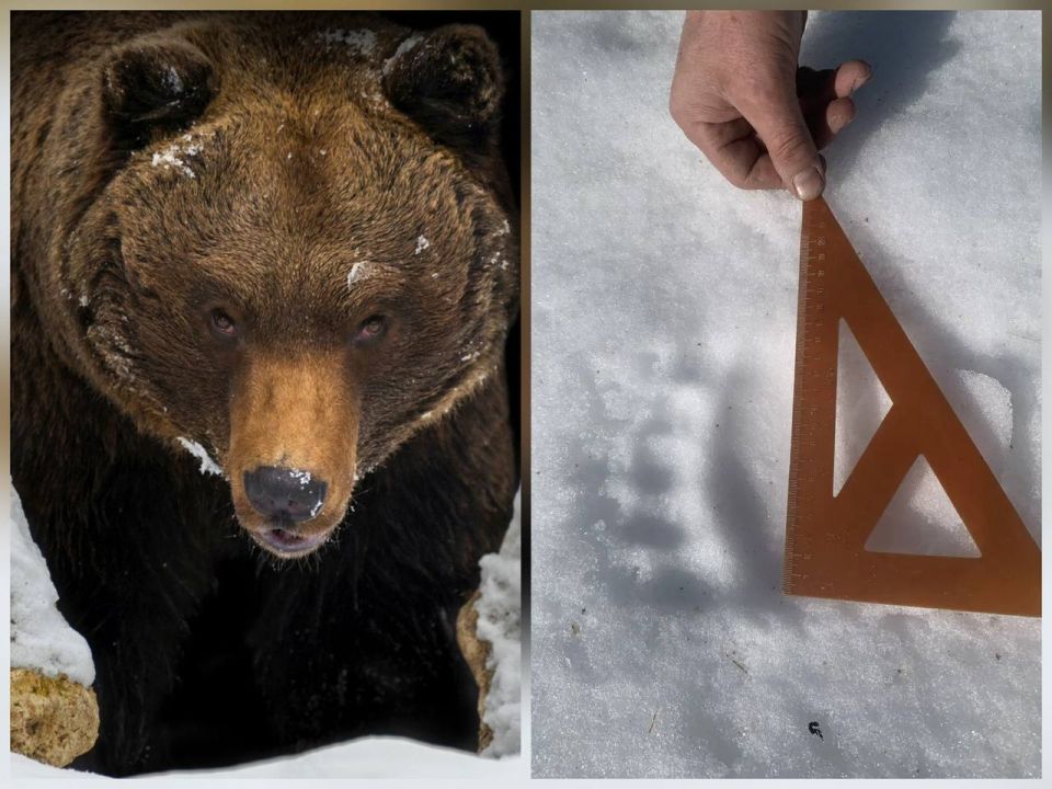 �� ����� ���������� �������