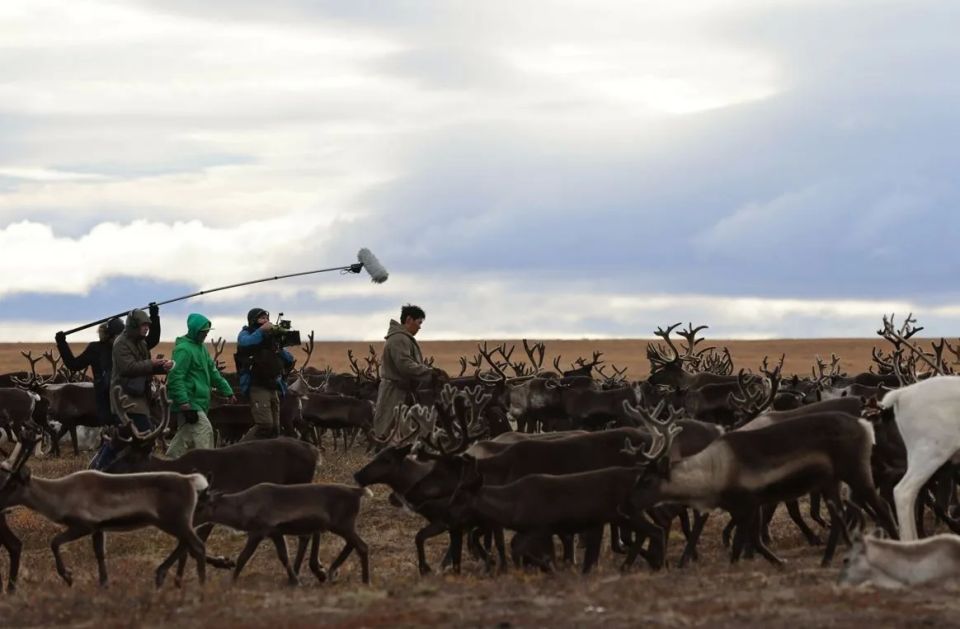 ��������� ���������� �������� �� ����������� �������������