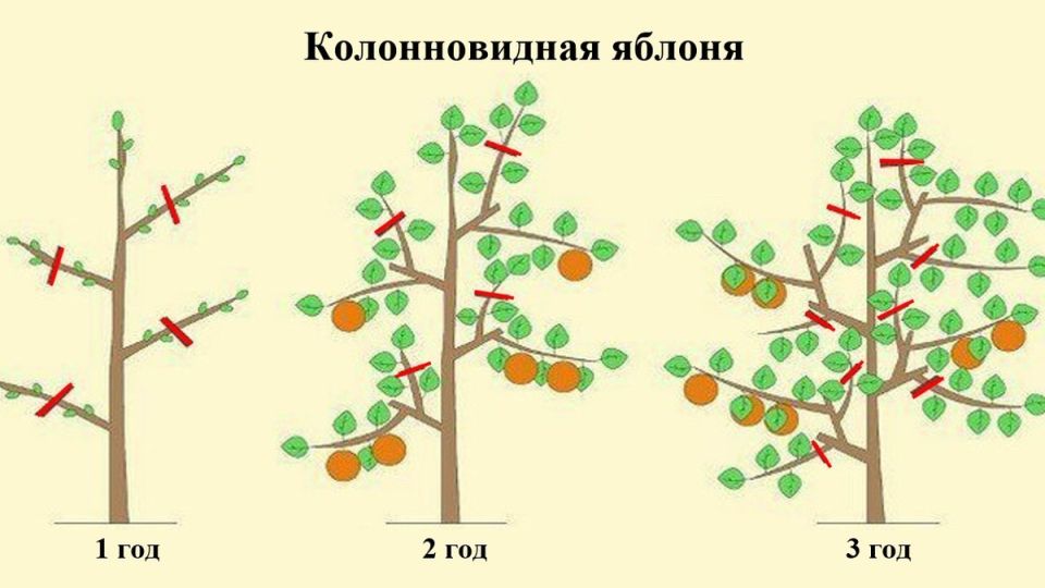 ��� ������� ������������ ������ � ����� ����� �������� ��� ���