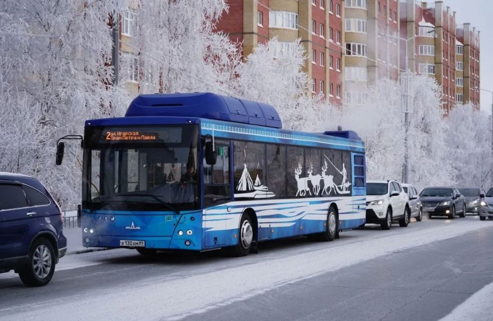 ���������, �� ��� �����: ��� ������ ����� � ��������� �� �����