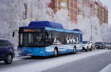 ���������, �� ��� �����: ��� ������ ����� � ��������� �� �����