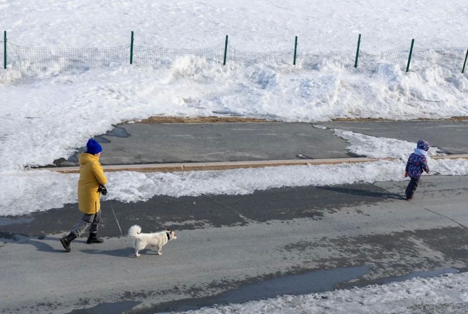 ������� ������ �� 19 ������