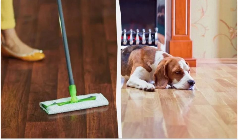 ��� ������� ����� ������ ������� �������: ������� ����������� ������