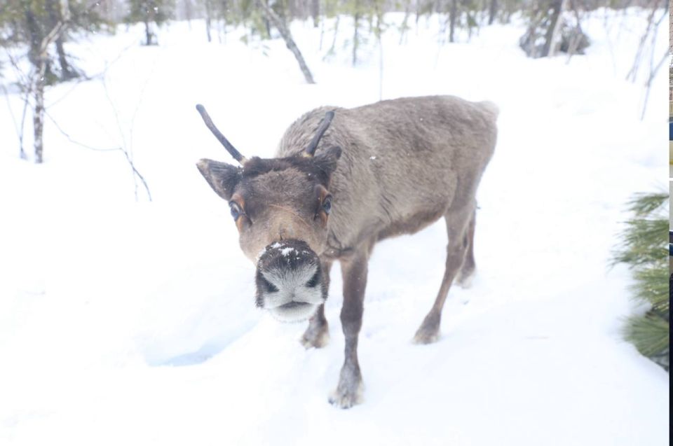 ����������� � ��� ����� ���� ���� ������� �� ���� � �����������