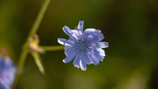 �������� ���� ������� �� ����