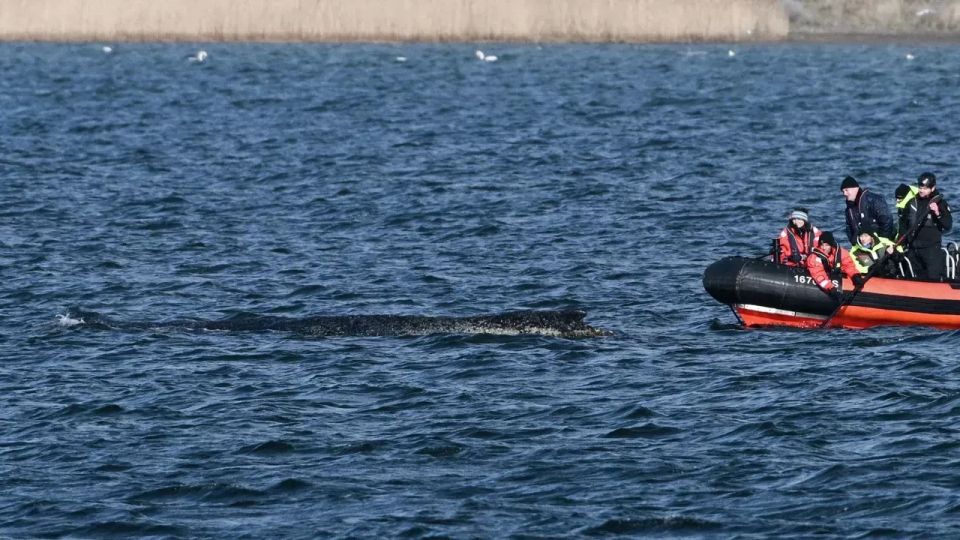 ���� �� �����: ��� ��������� �� �����, � ������ � ����