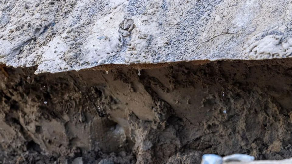 ������ ������ ���������� �� ��������� �� �����