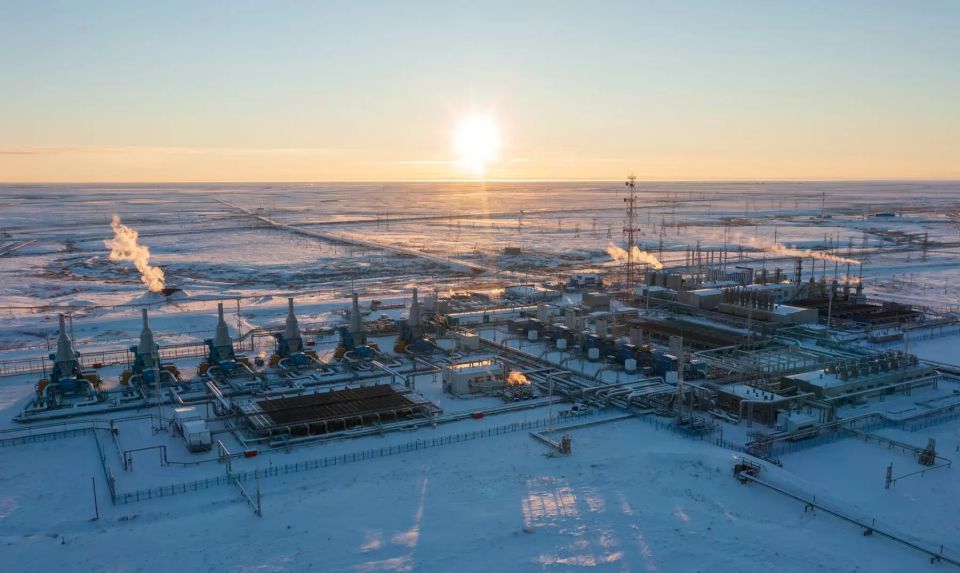 #���_����������. 6,5 ����������: ����� ������� �����! ���� ��������, 21 ������, �������� � ������� ����� ��� ����������� ��������-��������������� ���������