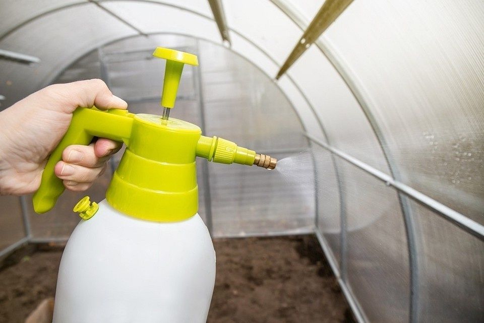 ������� ������� � ������ ������ �� 30 �����: ������ ��������