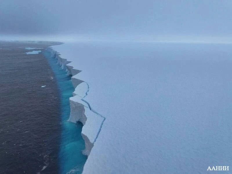 ���������� � ���� ������� ����������� �������