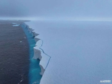 ���������� � ���� ������� ����������� �������