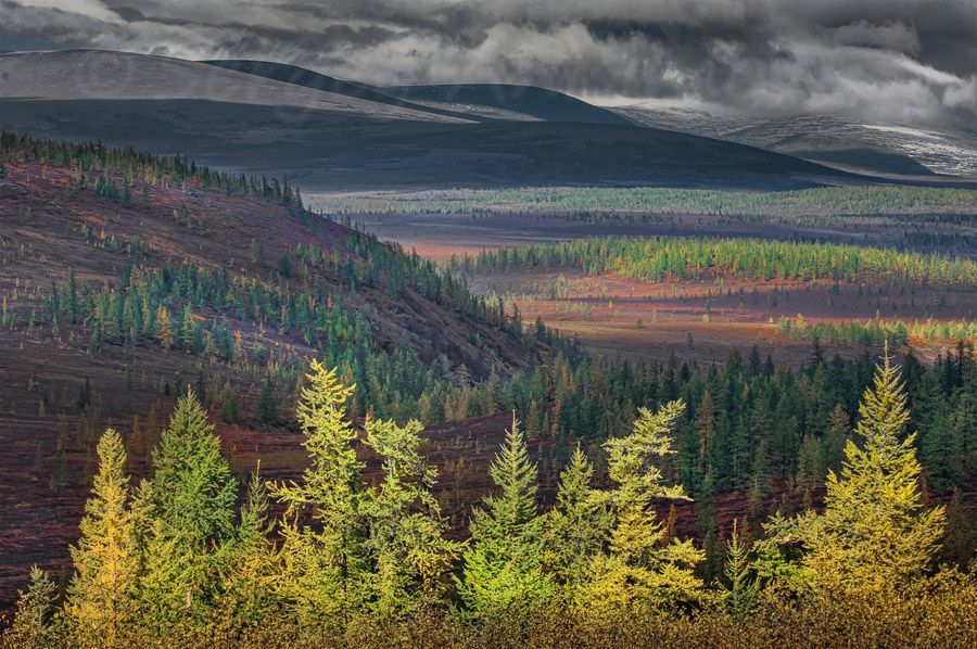 ������������� �� ��������� �������� � ������� ���������� ������� ������� �� �����