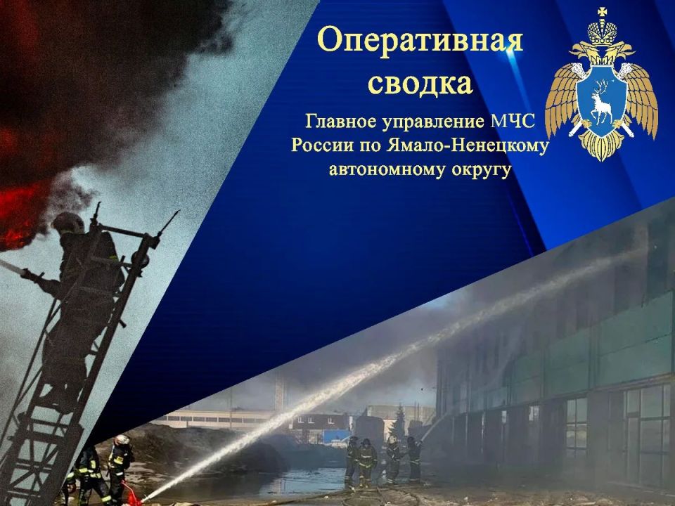 #���������. �� ����� �� ��������� ����� �������-������������ ������������� ��� ������ �� ���������� ������� �� ������������