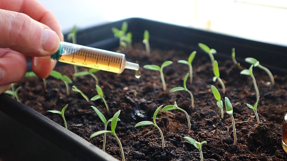 ��� ���������� ������ ������� ��������� � ������� �������� ����� �� ���� ����