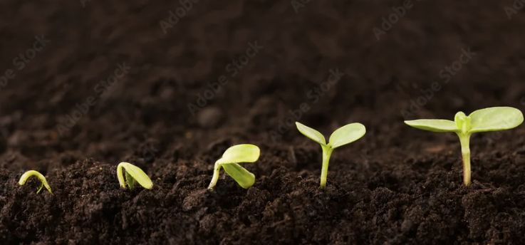 ������ ������ ������� ��-������� � ��� ��� ���������?