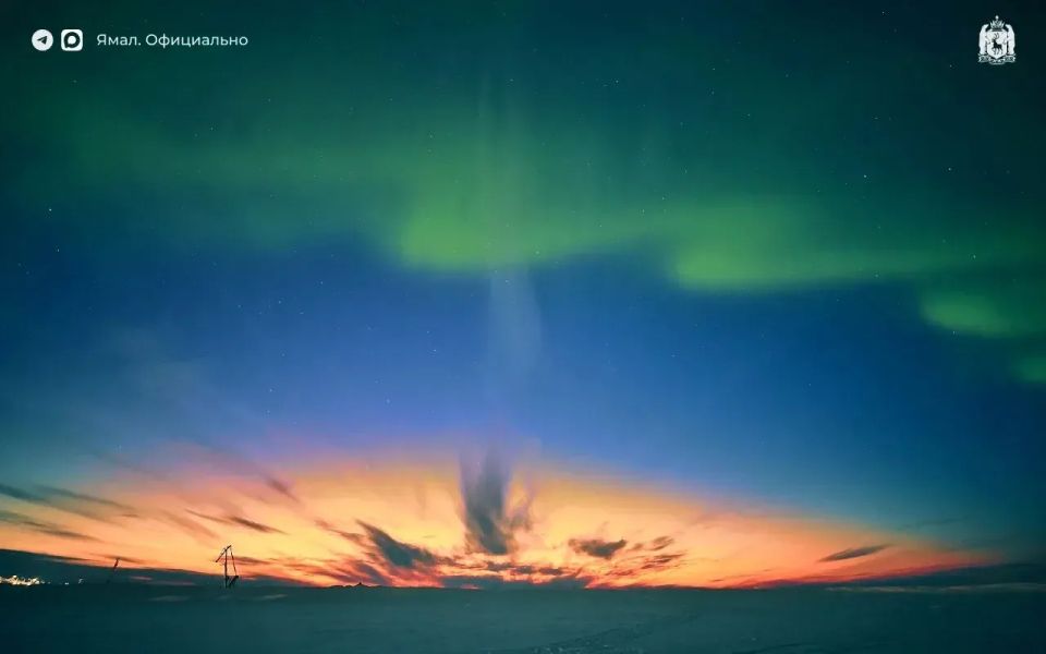 ��������� ���� ����� ������ ��������