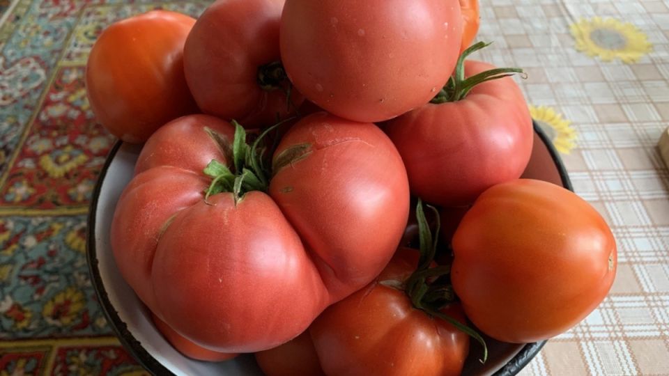 ��� �������� ��������� ������ �������: 7 �������� �������� ���������