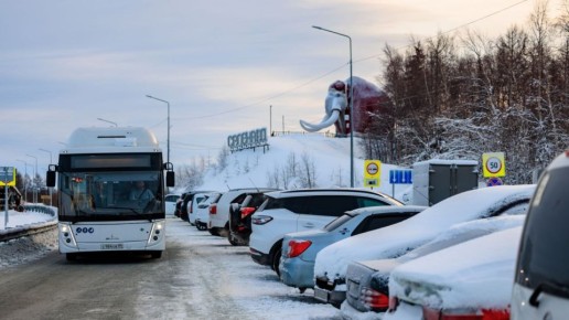 ������� ���� �������� ������� ������ �� ��� ��� ���������