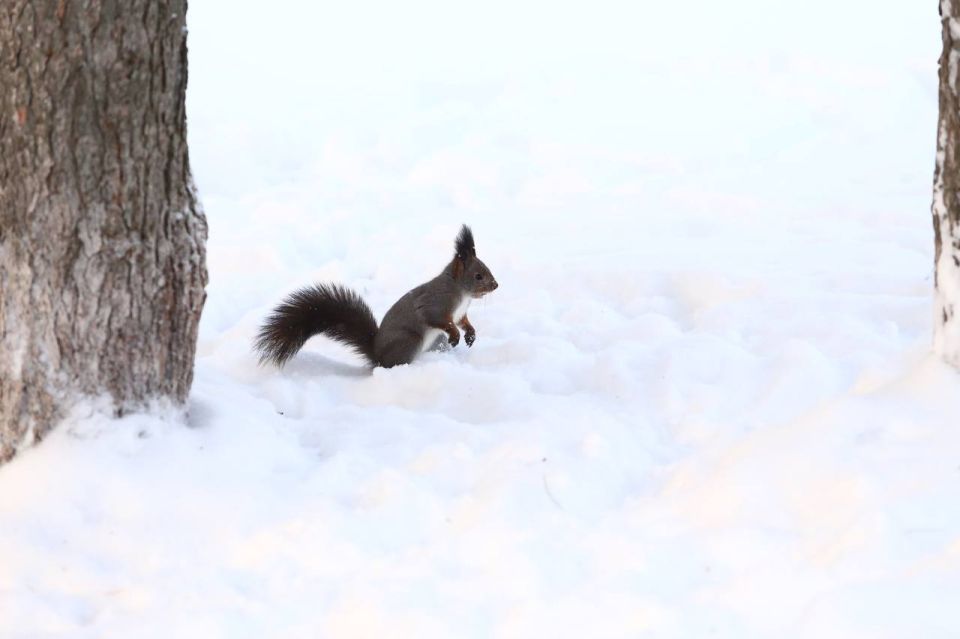 ������ �����, ��� �������� �����, ����� ��� ������� ��������