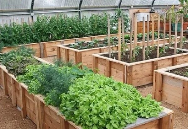 ��� ������������� ������ � ������: ����� ������ �� ��������� �����