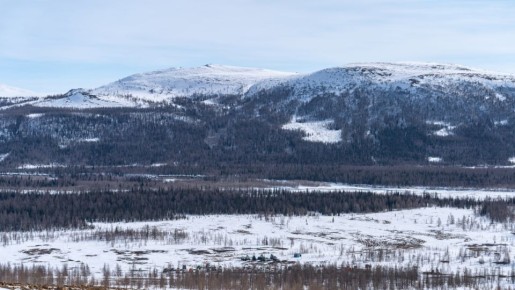 �������� ����� ������� �������� ���� �� ������������ ���������