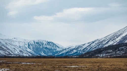 ������� ���������� ����, ��������!