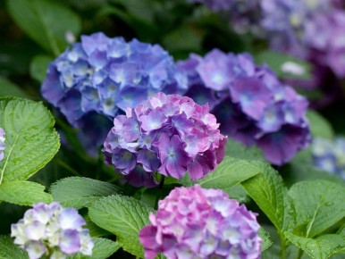 ���������: ����� ����� ����� � ��� �������� ������� ������ � ����� ����