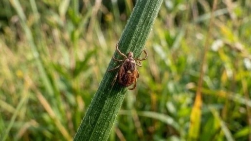 ����� ���������� �� �����������: �������� ���������, ���� �������� ���������� �� ��������� ����������