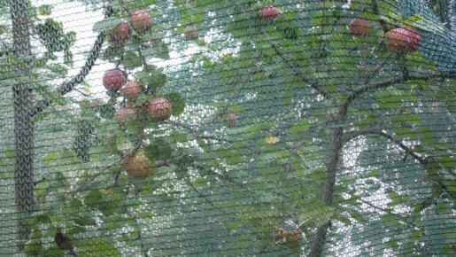 ��� �������� ������� � ������� �����: ������� �������� ��������� �������� ��������