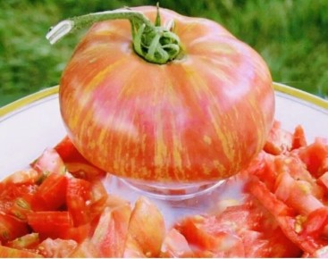 ����� ������: ���������� ���� � ����� ������ � ��������