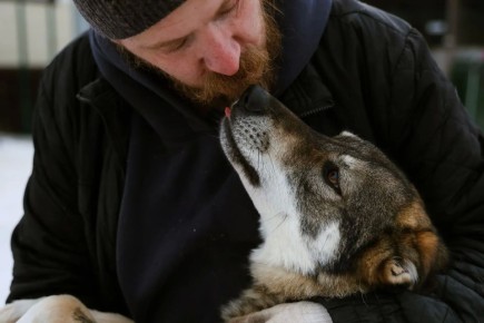 � ����� ������� ������� ���� ��������� ������� ������� ������