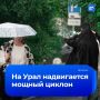 ���� ������� �������: ����� �� 23 �/� � ������ ����