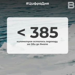 ������ 385 ���������� �������� �������� �� ��� �� �����